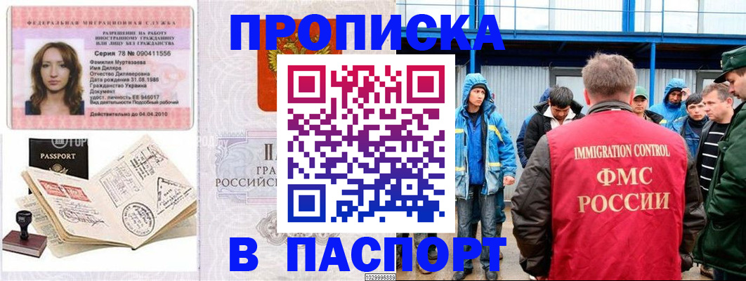 временная регистрация недорого в Волосово